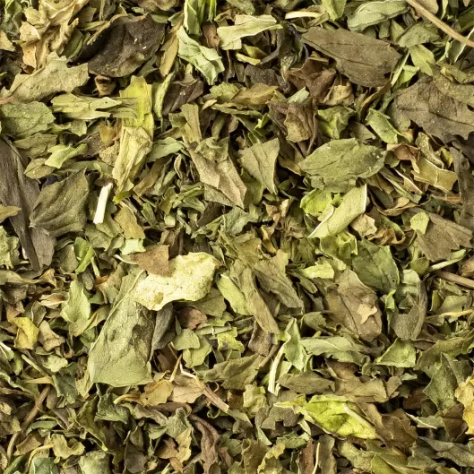 Марокканская мята