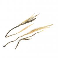 Зеленый чай Зеленые иглы_3