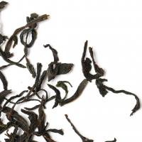 Иван-чай деревенский_2