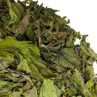 Мята (крупный лист) Премиум_1