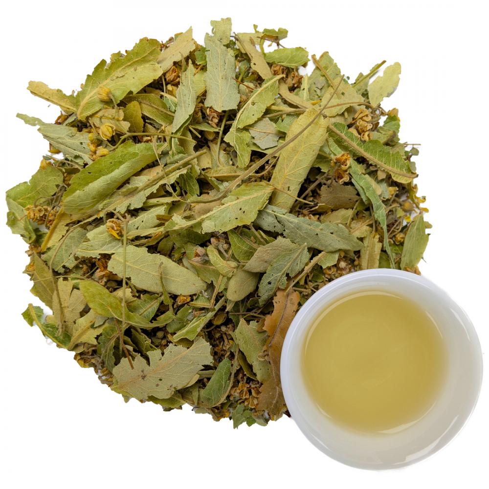 Липа резанная