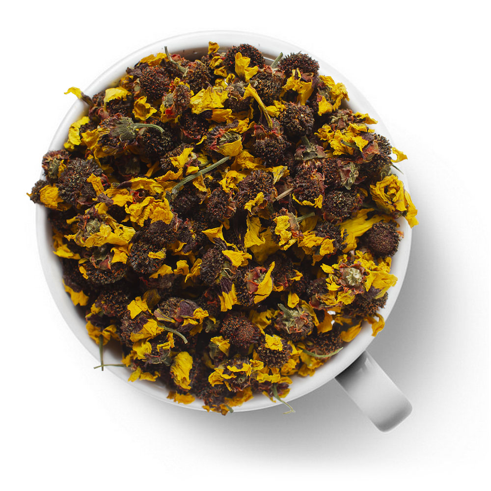 Куньлунь снежная хризантема (Тибетская ромашка)