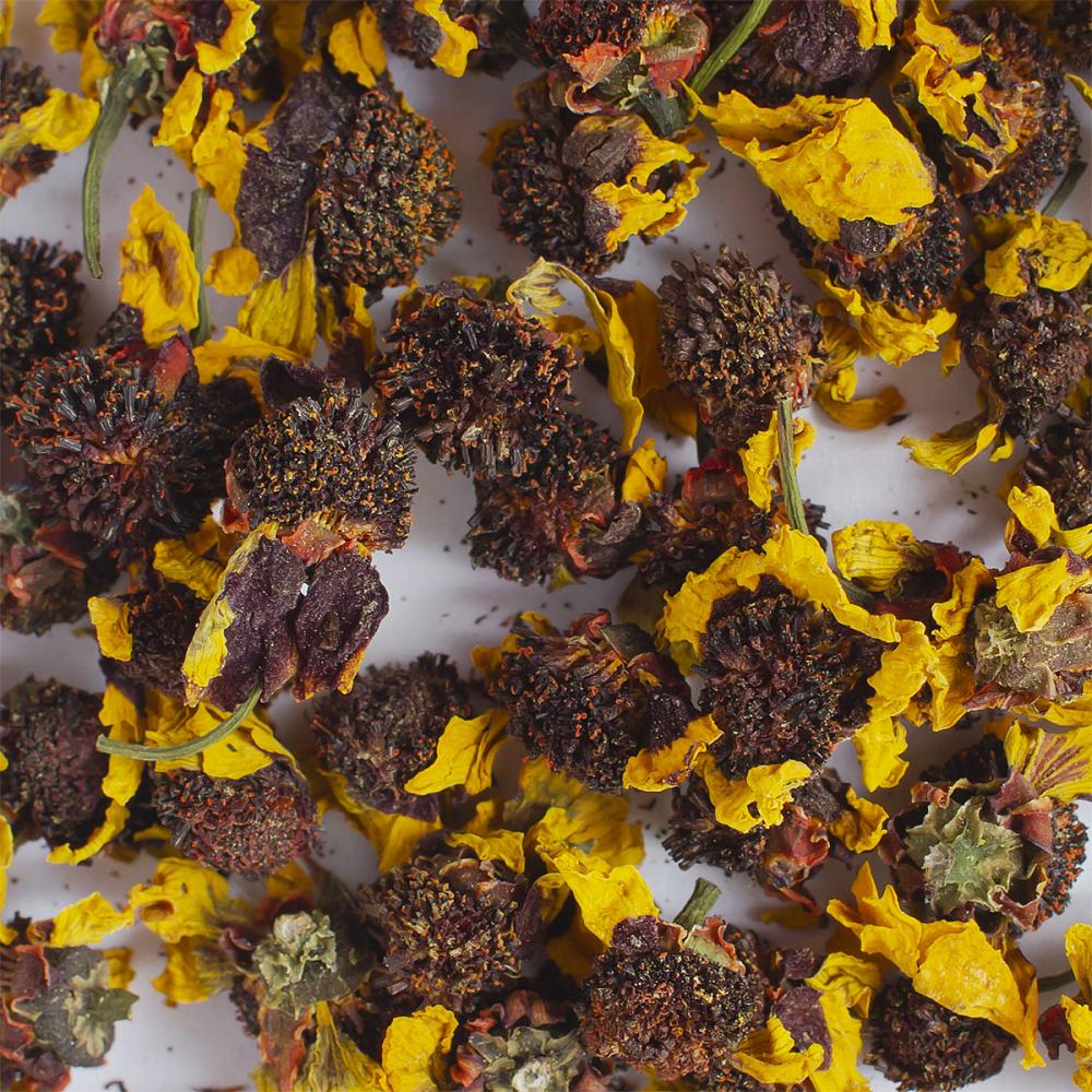 Куньлунь снежная хризантема (Тибетская ромашка)