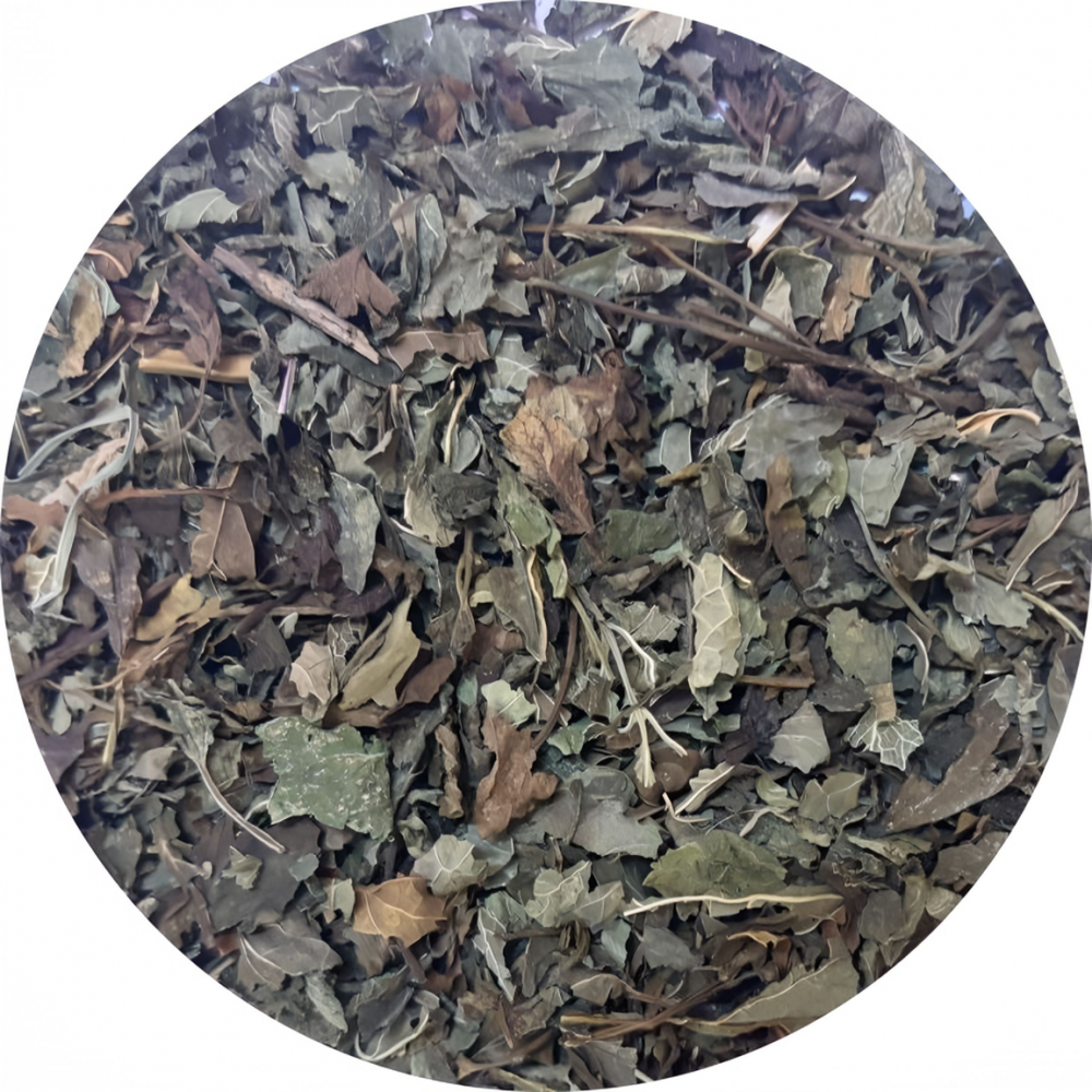 Мелисса лист