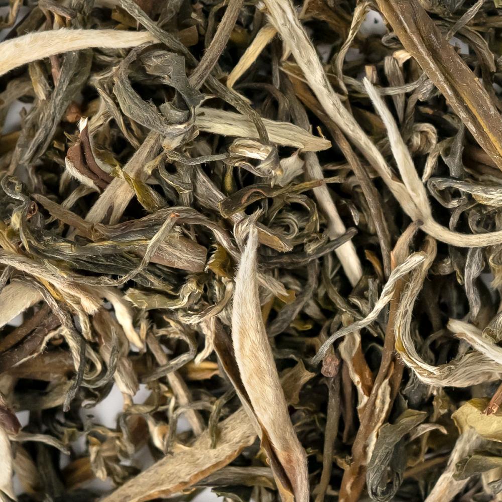 Зеленый чай Инь Чжень (Серебряные иглы)