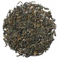 Гун Тин Пуэр многолетний (типсовый)