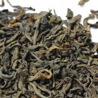 Гун Тин Пуэр многолетний (типсовый)_4