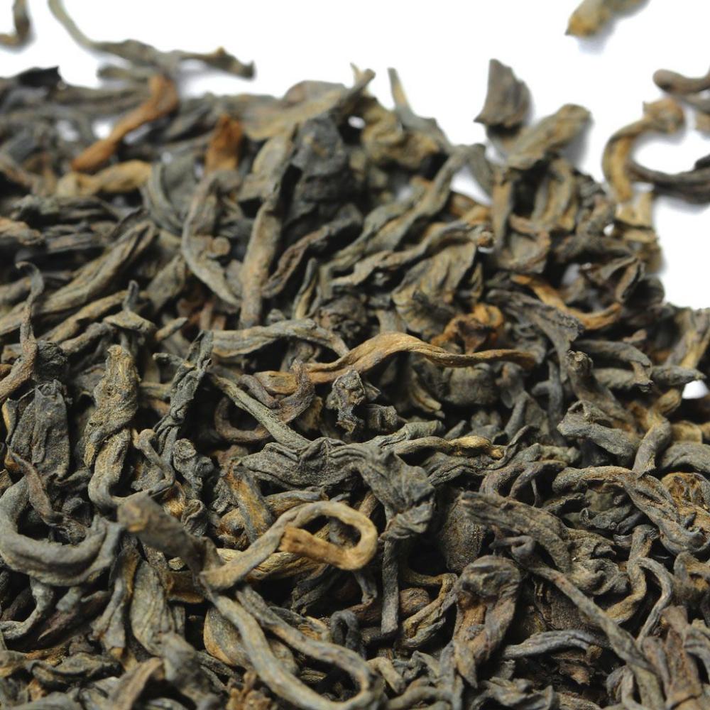 Гун Тин Пуэр многолетний (типсовый)